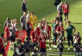 爱游戏中国-英超足总杯好处