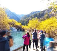 爱游戏官网-关于多特蒙德训练开放日，冲刺阶段状态回暖引欢呼，德甲在即，年轻球员得到机会的信息